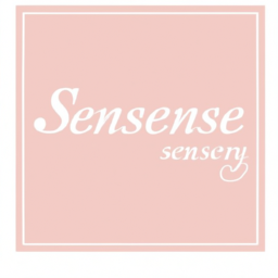 Sense And Sensibility By Jane Austen