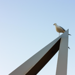 The Sea Gull By Anton Pavlovich Chekhov
