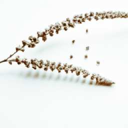 The Art Of Allowing And Surrender