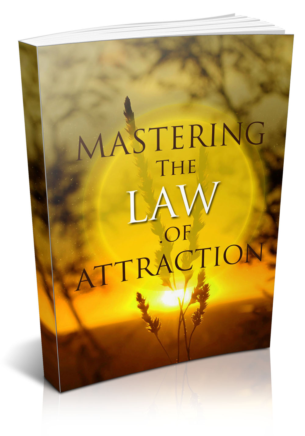 Mastering The Law Of Attraction
