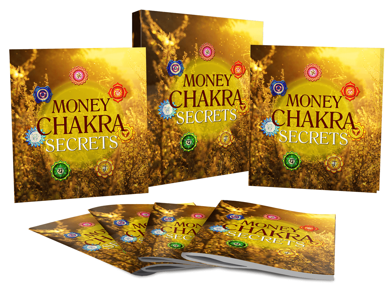 Money Chakra Secrets