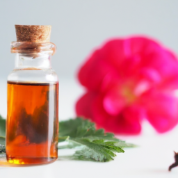 Aromatherapy And Essential Oils For Weight Loss And Appetite Control