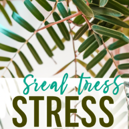 Dealing With Stress Naturally Format