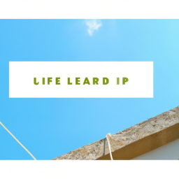 Lead Your Life