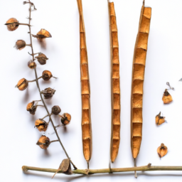 Pruning The Elements Of Death In Your Life